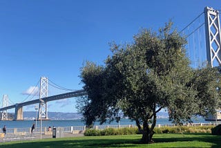 Here’s to my Next Four Months as a Student in San Francisco
