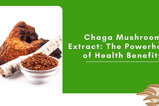 Chaga Mushroom Extract: The Powerhouse of Health Benefits