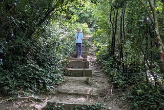A shady forest with dense foliage. There is a set of wooden fronted stairs set into an earth bank. Half way up there is a small child wearing a straw hat. In the distance the end of the stairs breaks out into sunshine. The ground and steps are uneven.