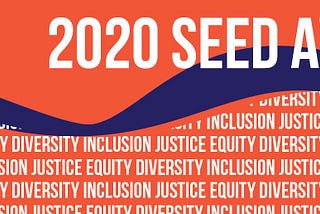 Pathways to Equity wins SEED Award for Justice, Equity, Diversity and Inclusion