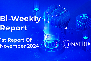 1st Report Of November 2024