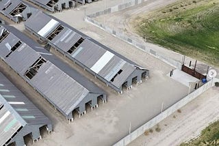 US Fur Farm Survey Continues to Show Many Closures