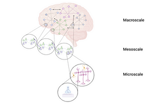 Predictive Coding: A Unified Theory of Cognition in Health and Disease?