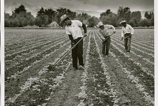 A Brief History of the Bracero Program and What We Have Learned From It