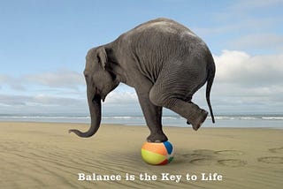 an elephant trying to balance on a colorful ball at the beach