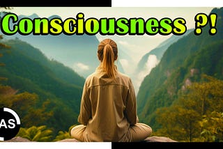 What is consciousness?