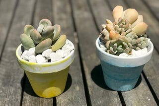 Ombré Succulent Pot DIY