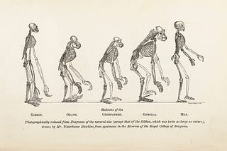 The commonalities between evolution and product design