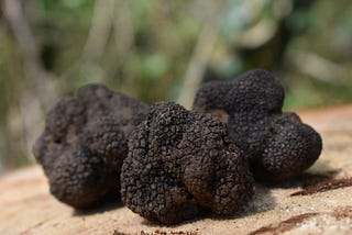 Three truffles on wood