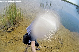 Walking Through The Water in Everglades National Park