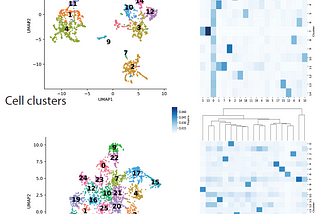 Capture Cell Heterogeneity in Single Cell RNA-seq by Topic Modeling (Part Two)