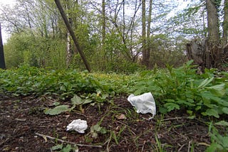 Quick and dirty: Picking up trash for environmental change