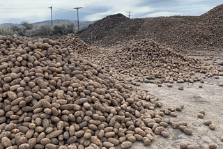 Homing in on the Harvest: 
“The fruit will not wait for this to pass.”