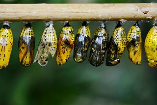 Cloud Myths: Migrating to the cloud is quick and easy (Pill 2 of 5 / Cloud Pills)