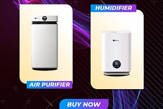 Air Purifier vs. Humidifier: Choosing the Right Solution for Your Indoor Air Quality