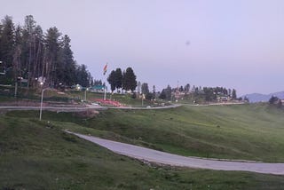 Meadow of Flowers: Gulmarg