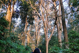 Promising opportunity for parabiologists in the largely unexplored forests in Bangladesh
