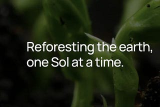 Introducing $PARKS: The Solana Token Driving Reforestation Efforts Worldwide