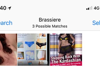 Best Guess for this Image: Brassiere