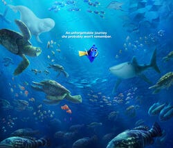 Finding Dory: Finding Yourself