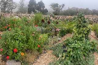 Thriving with Moles and Voles in the Garden