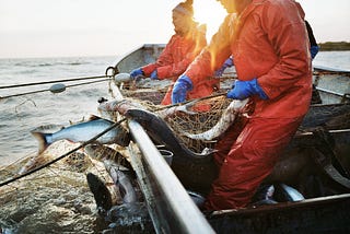 Bristol Bay’s Salmon Economy Needs Protection