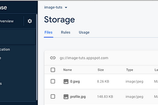 Quick SwiftUI: Loading an Image from Firebase Storage using SDWebImageUI