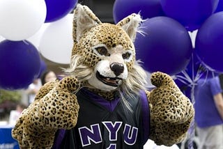 OPINION: I Should Be Allowed To Fuck The NYU Bobcat