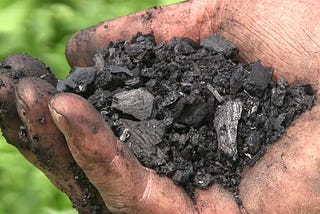 Biochar is a black carbon rich material similar to charcoal