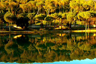 Reflection, Villa Ada, Rome, Italy