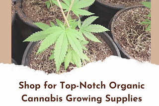 Shop for Top-Notch Organic Cannabis Growing Supplies