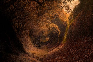 A canal lined with leaves and foliage almost looks like the trail to the womb.