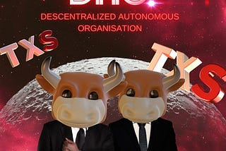 TEXAS PROTOCOL THE PROJECT ON THE MOVE, CLOSE TO BECOME A DAO.