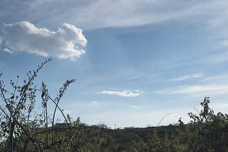 [mostradme un solo hombre que conozca mejor las nubes]