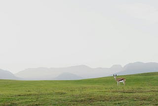 Things that slow you down on your spiritual path