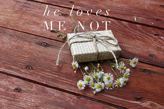 Color photo of a newspaper wrapped gift,  surrounded by daises, that reads, he loves me not.