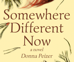 Book Review: Somewhere Different Now