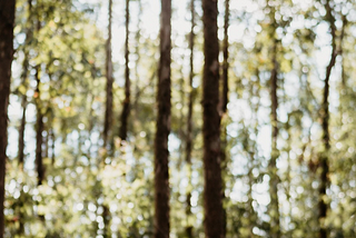 Binary Trees in Swift