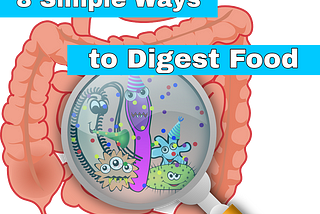 How To Digest Food Fast