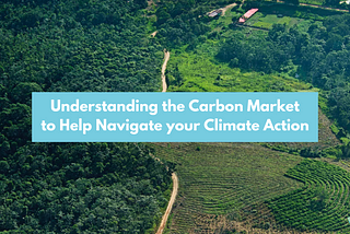 Understanding the Carbon Market to Help Navigate Your Climate Action