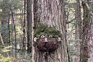 The Forest Monster