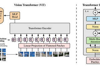 Visual Transformer (ViT)