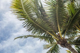 I lived in Florida for two years and it was a Nightmare.