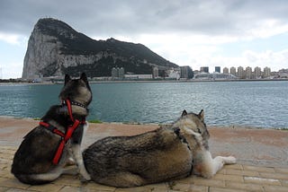 Is Gibraltar the Weirdest Place on Earth?