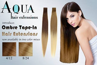 Hair Clip Extensions Florida