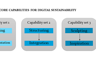 # 3: Triple S: The Three Core Capabilities of Digital Sustainability