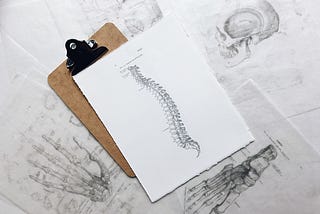 Anatomical drawings of a spine, a hand, a food and a skull.