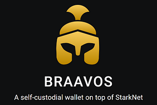 Тестирование кошелька BRAAVOS