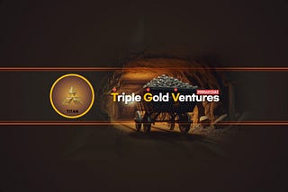 Triple Gold Ventures, New Paradigm of Real Economy and Digital Economy Ecosystem