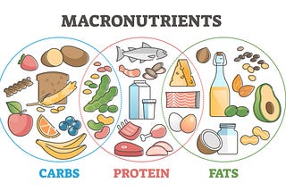 Nutrition 101